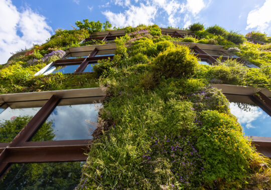 Planes especiales de jardinería para villas, comunidades y hoteles en Marbella y la Costa del Sol - Valle Jardines Exclusivo