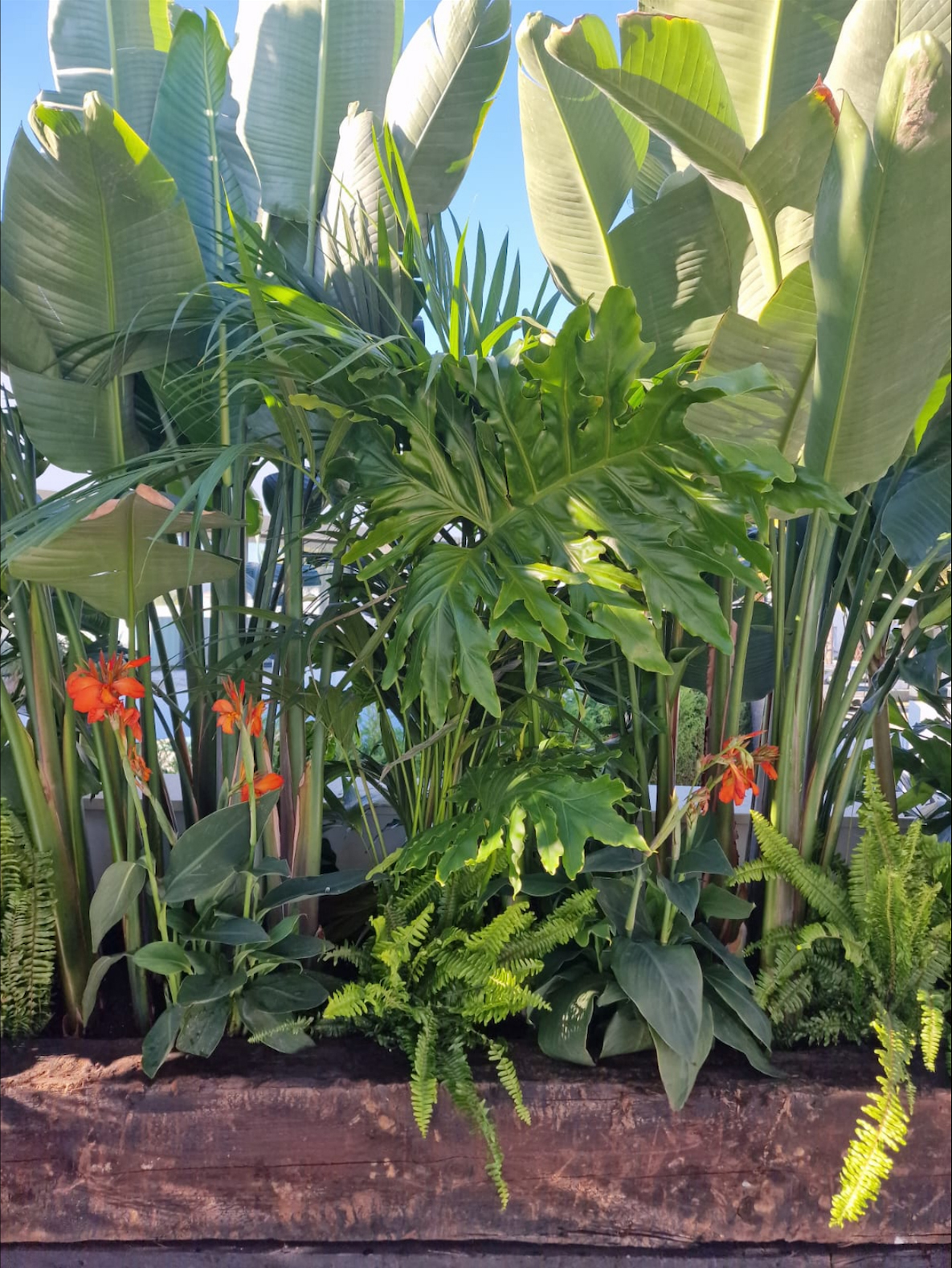 Trabajos realizados por Valle Jardines Exclusivo