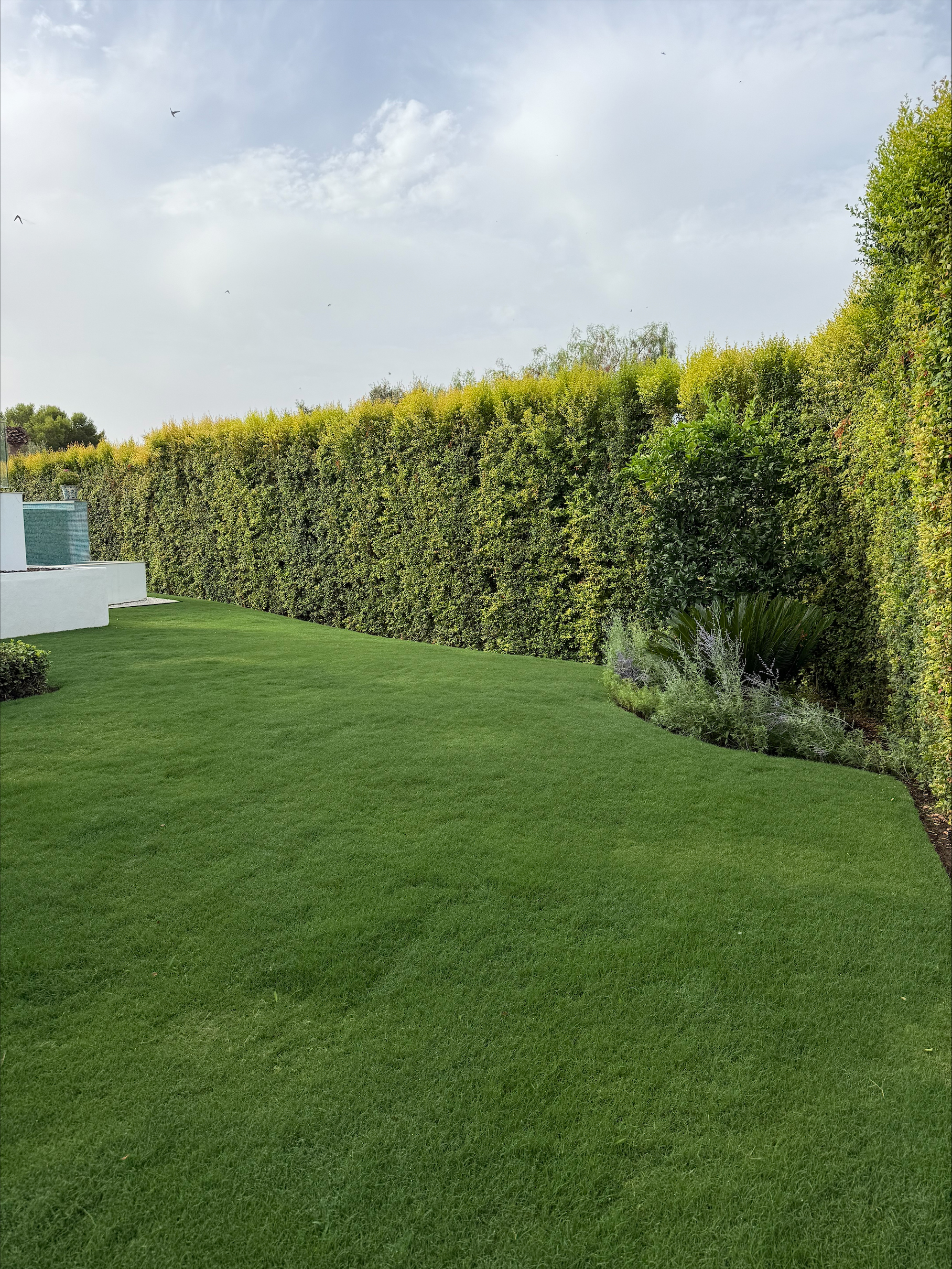 Trabajos realizados por Valle Jardines Exclusivo